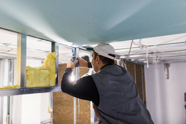 Best Residential Insulation in Reeds Spring, MO