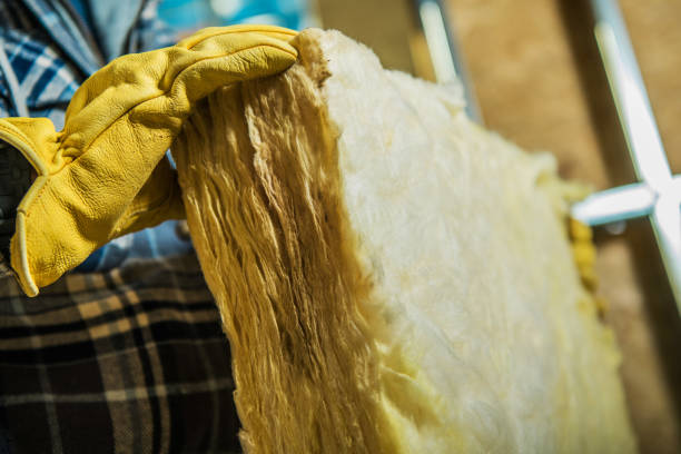 Best Insulation Maintenance and Repair in Reeds Spring, MO